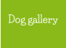 Dog gallery